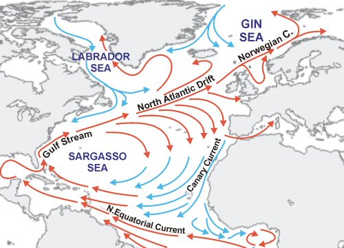 What does Gulf Stream. mean? - Definition of Gulf Stream. - Gulf Stream.  stands for A warm-water current that flows from the Caribbean North and  East to the British Isles.. By